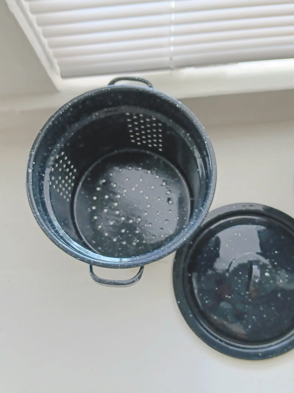 Enamel Speckled Black Stockpot and Roasting Pan Set - Black